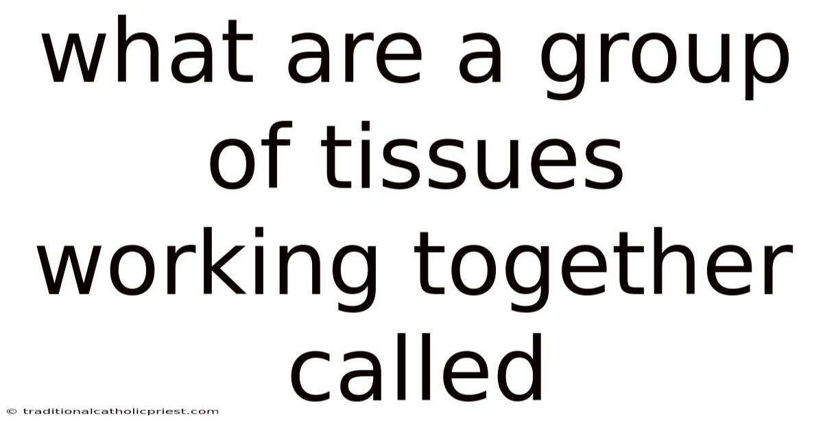 What Are A Group Of Tissues Working Together Called