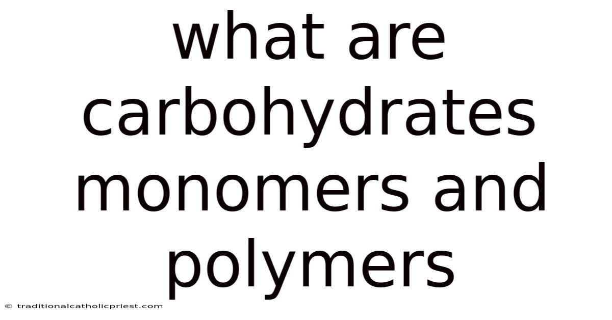 What Are Carbohydrates Monomers And Polymers