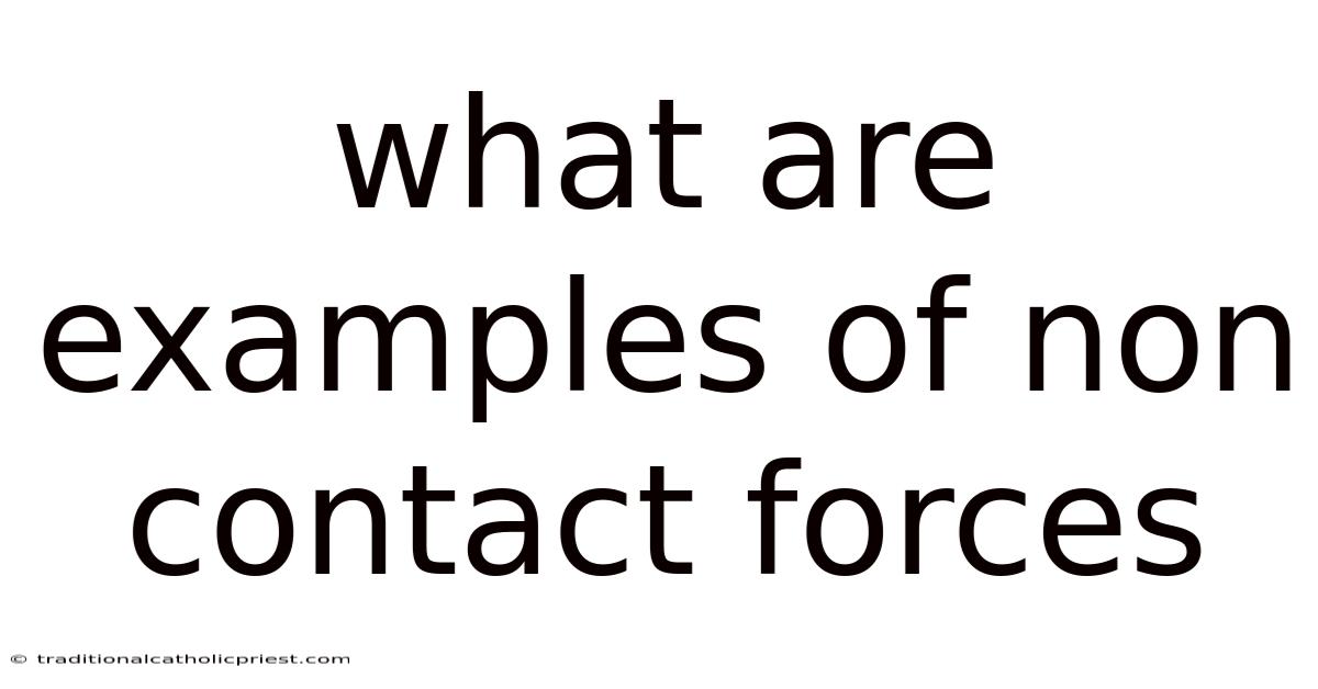 What Are Examples Of Non Contact Forces