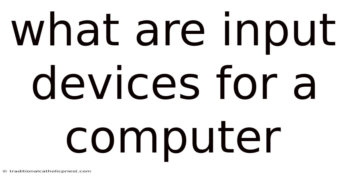 What Are Input Devices For A Computer