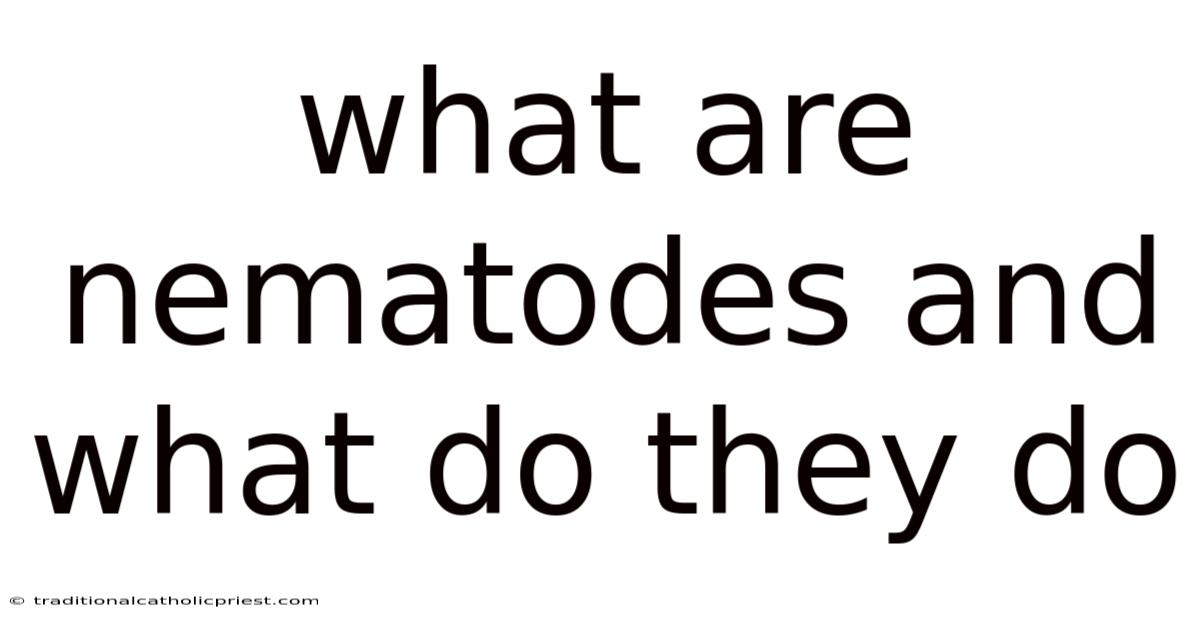 What Are Nematodes And What Do They Do