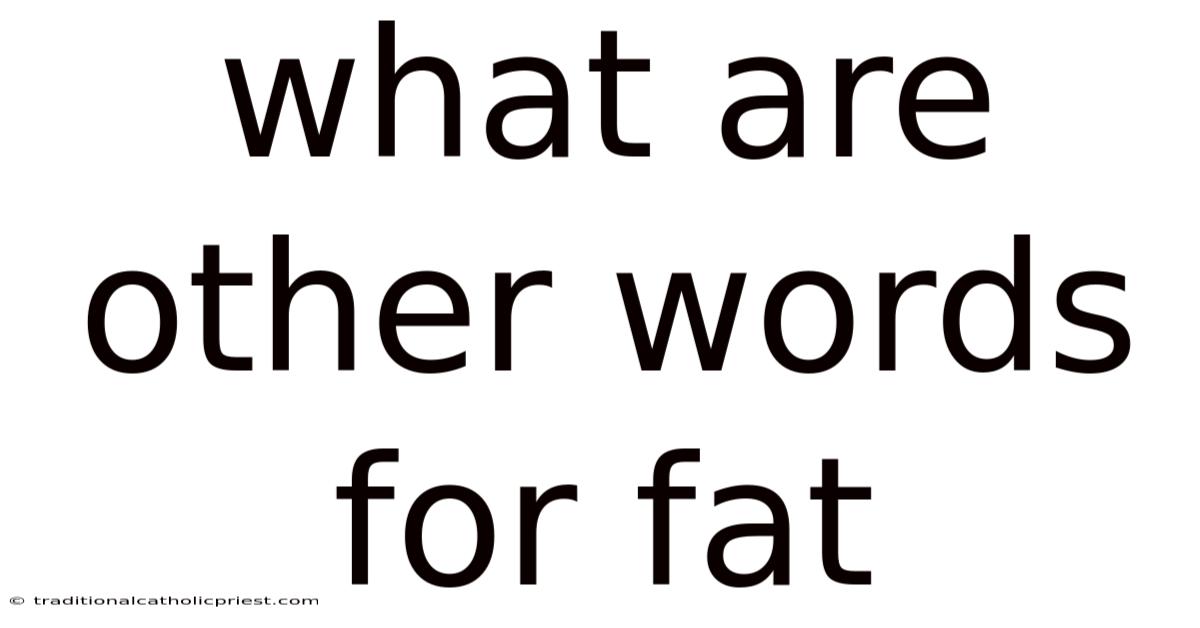 What Are Other Words For Fat