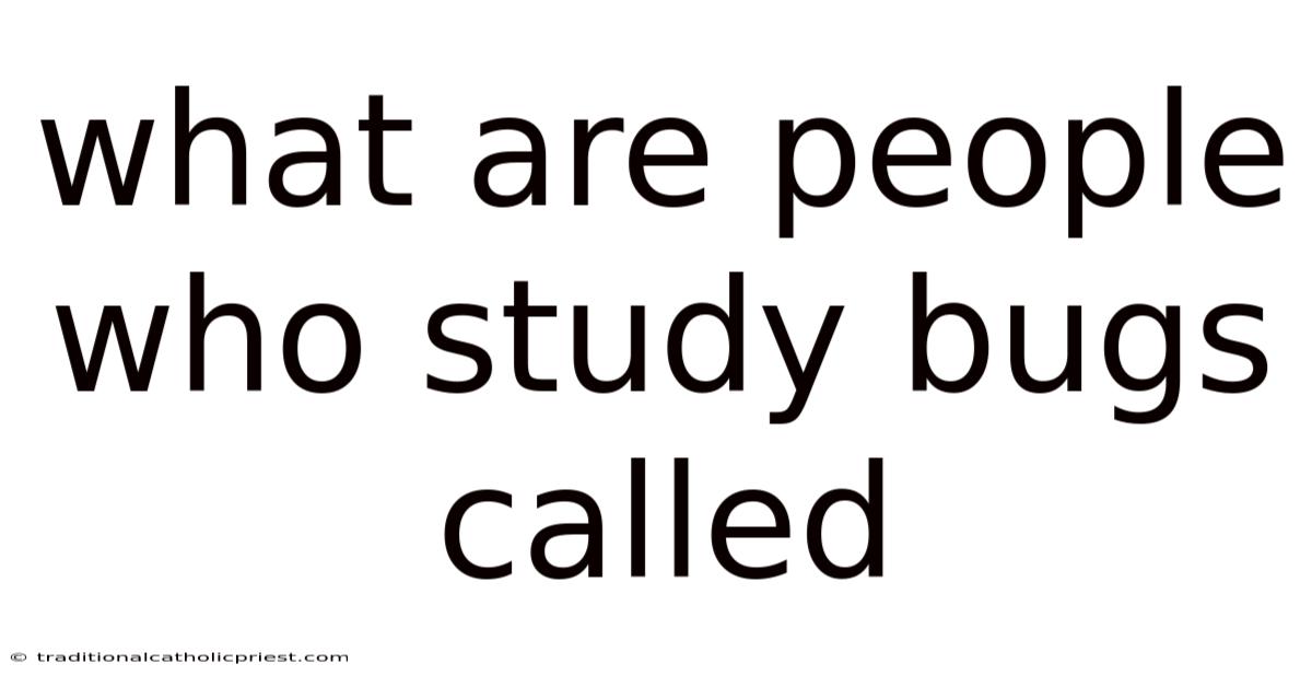 What Are People Who Study Bugs Called