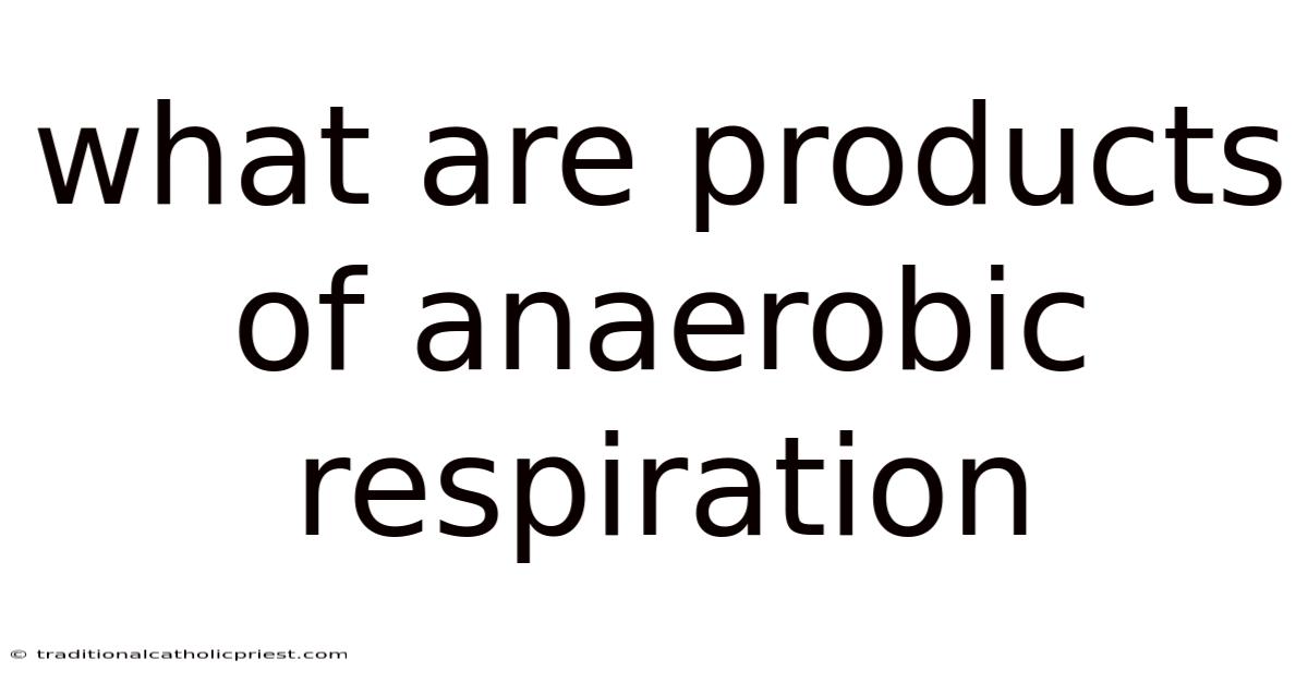 What Are Products Of Anaerobic Respiration