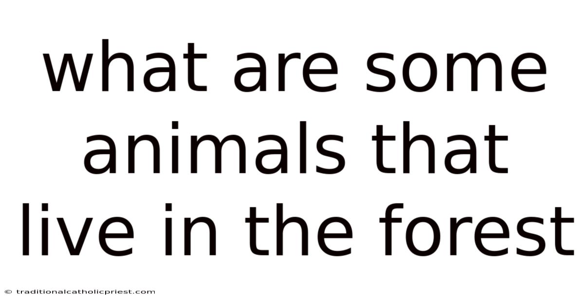 What Are Some Animals That Live In The Forest