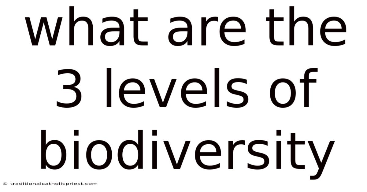What Are The 3 Levels Of Biodiversity