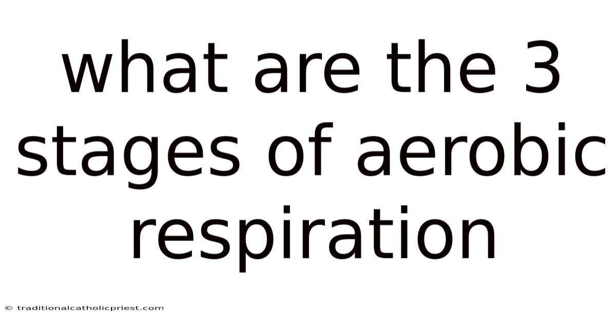 What Are The 3 Stages Of Aerobic Respiration