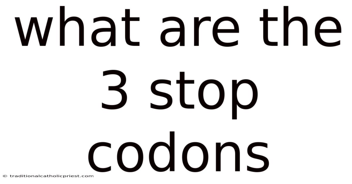 What Are The 3 Stop Codons