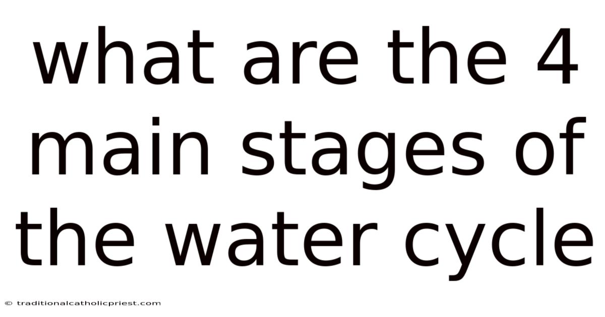 What Are The 4 Main Stages Of The Water Cycle