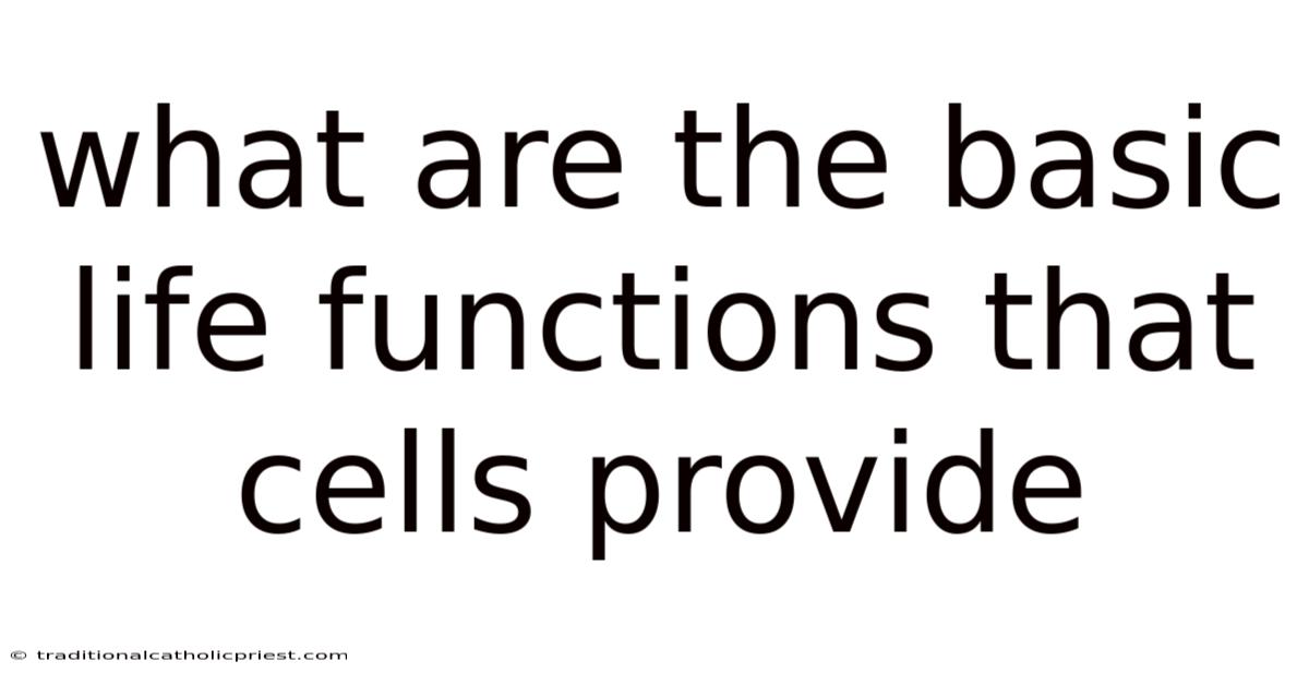 What Are The Basic Life Functions That Cells Provide