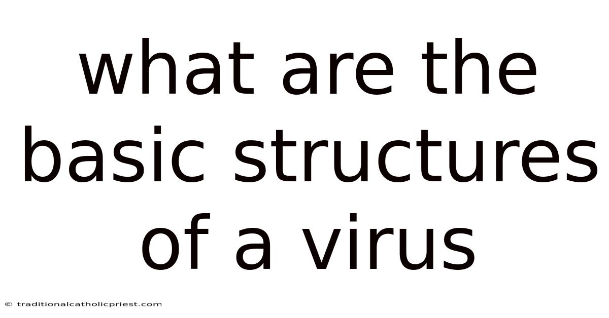 What Are The Basic Structures Of A Virus