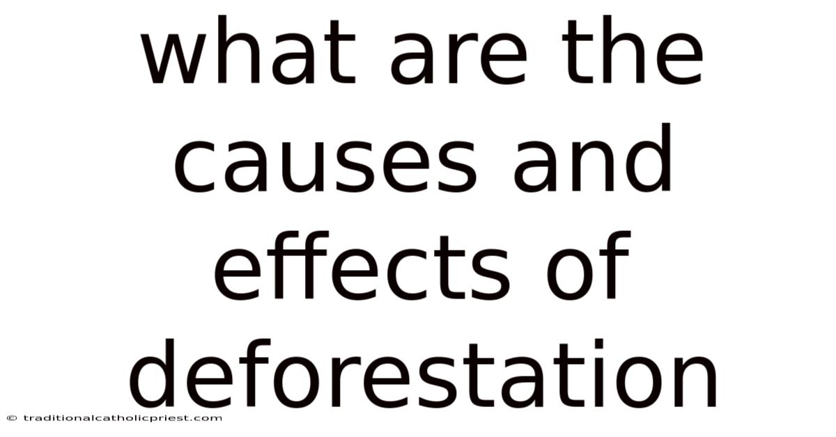 What Are The Causes And Effects Of Deforestation