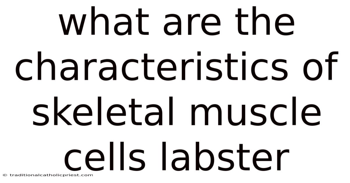What Are The Characteristics Of Skeletal Muscle Cells Labster