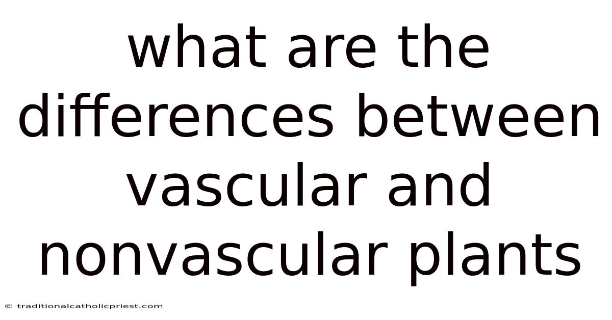 What Are The Differences Between Vascular And Nonvascular Plants