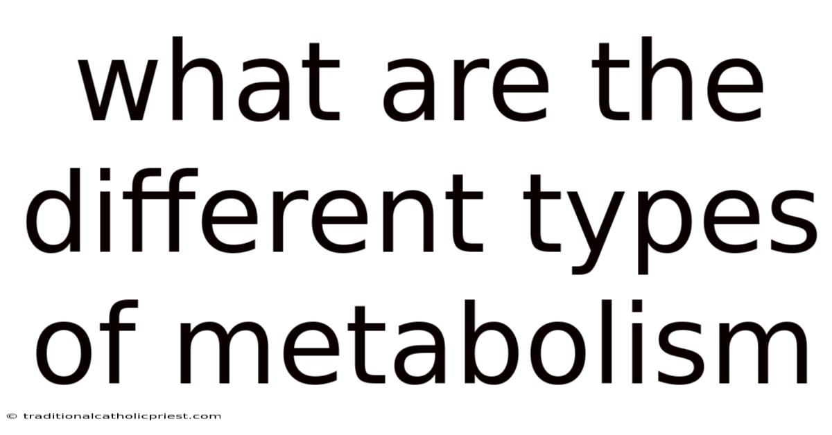 What Are The Different Types Of Metabolism
