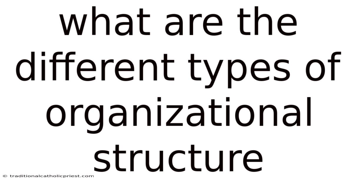 What Are The Different Types Of Organizational Structure