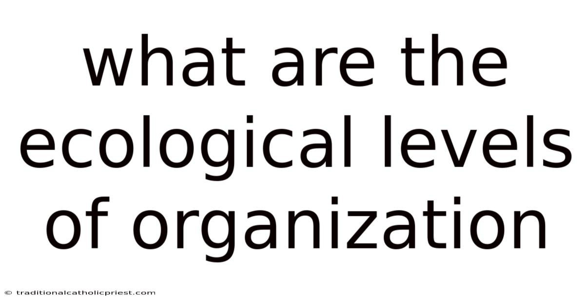 What Are The Ecological Levels Of Organization