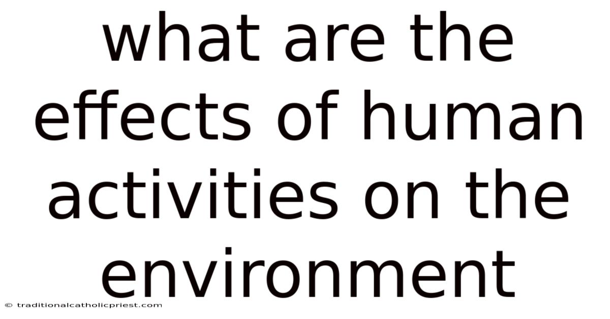What Are The Effects Of Human Activities On The Environment