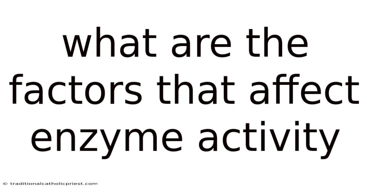 What Are The Factors That Affect Enzyme Activity