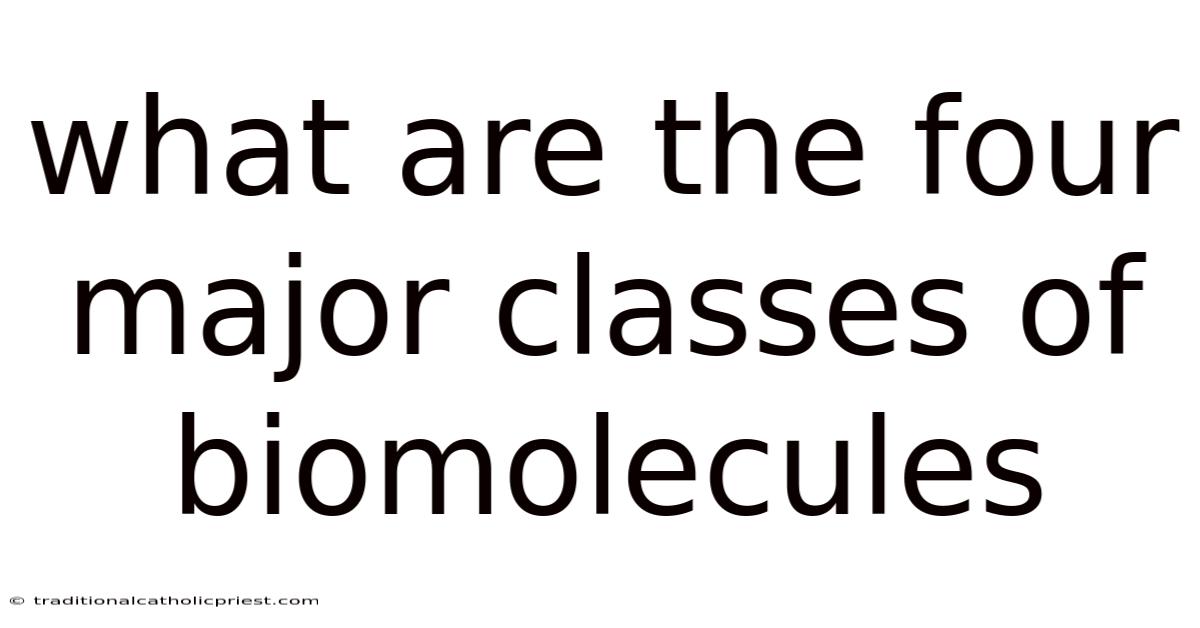 What Are The Four Major Classes Of Biomolecules