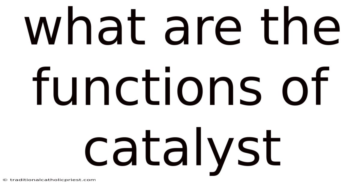 What Are The Functions Of Catalyst