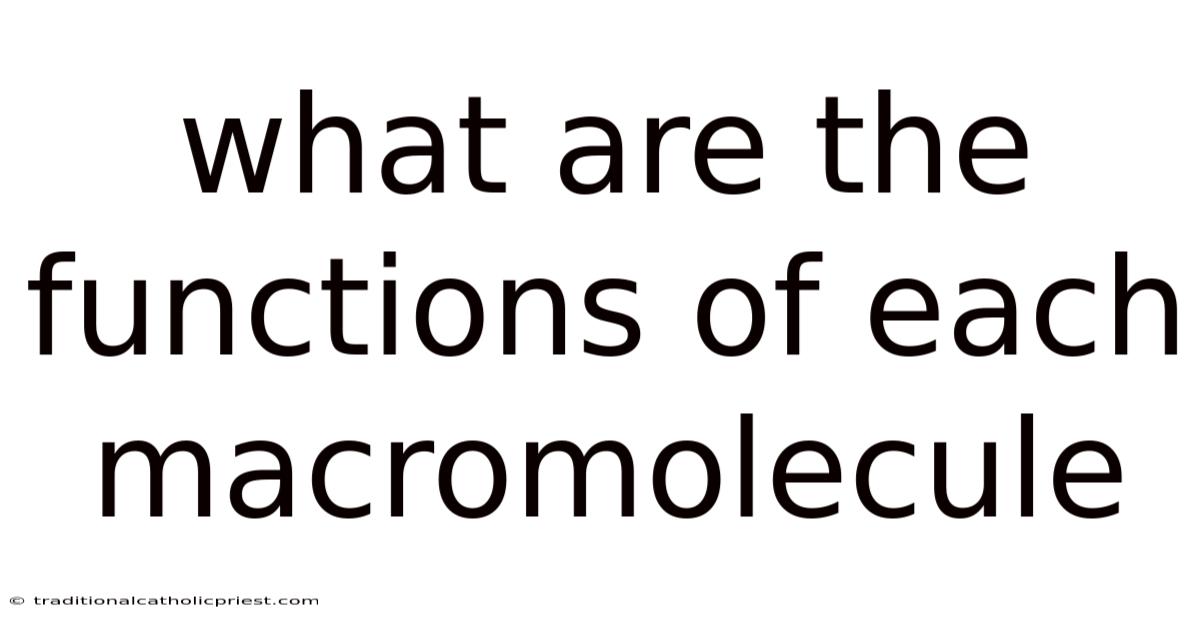 What Are The Functions Of Each Macromolecule
