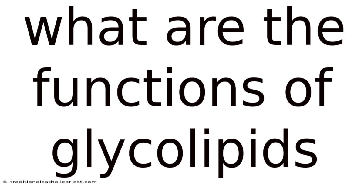 What Are The Functions Of Glycolipids