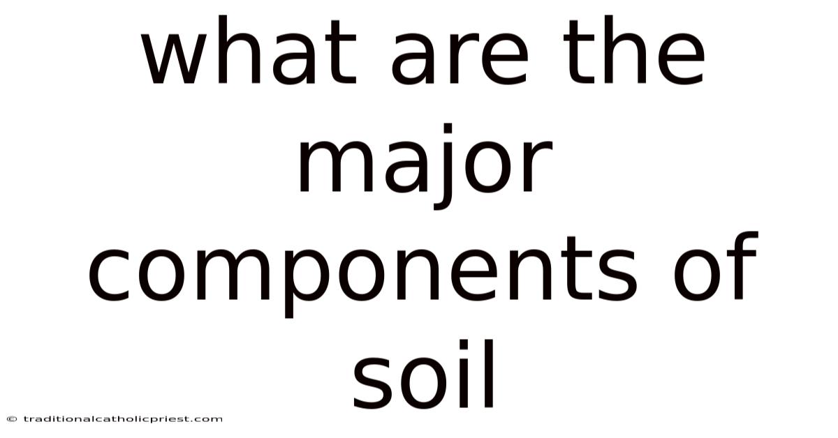 What Are The Major Components Of Soil