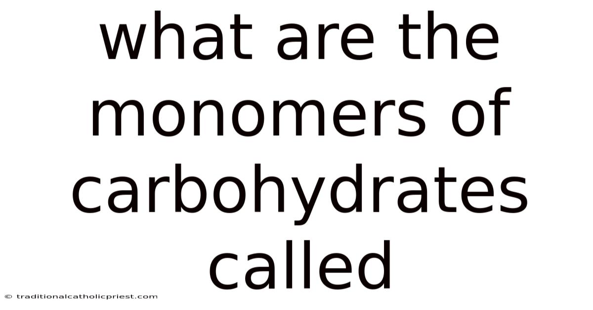 What Are The Monomers Of Carbohydrates Called