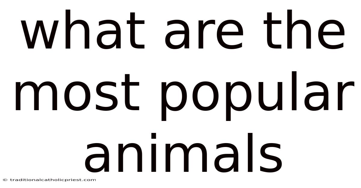 What Are The Most Popular Animals