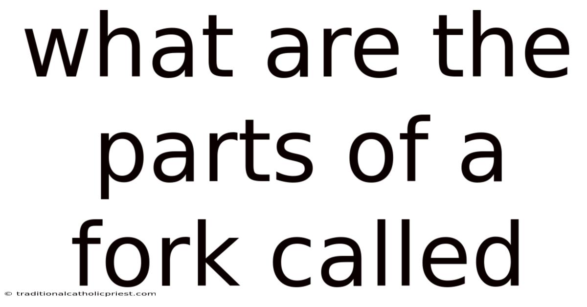 What Are The Parts Of A Fork Called