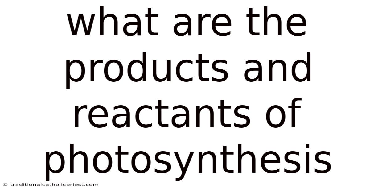 What Are The Products And Reactants Of Photosynthesis