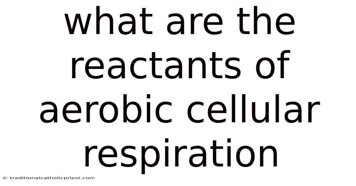 What Are The Reactants Of Aerobic Cellular Respiration