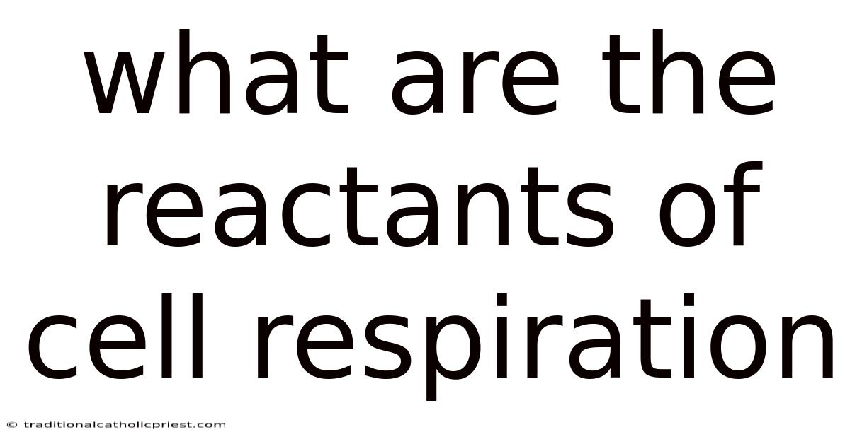 What Are The Reactants Of Cell Respiration