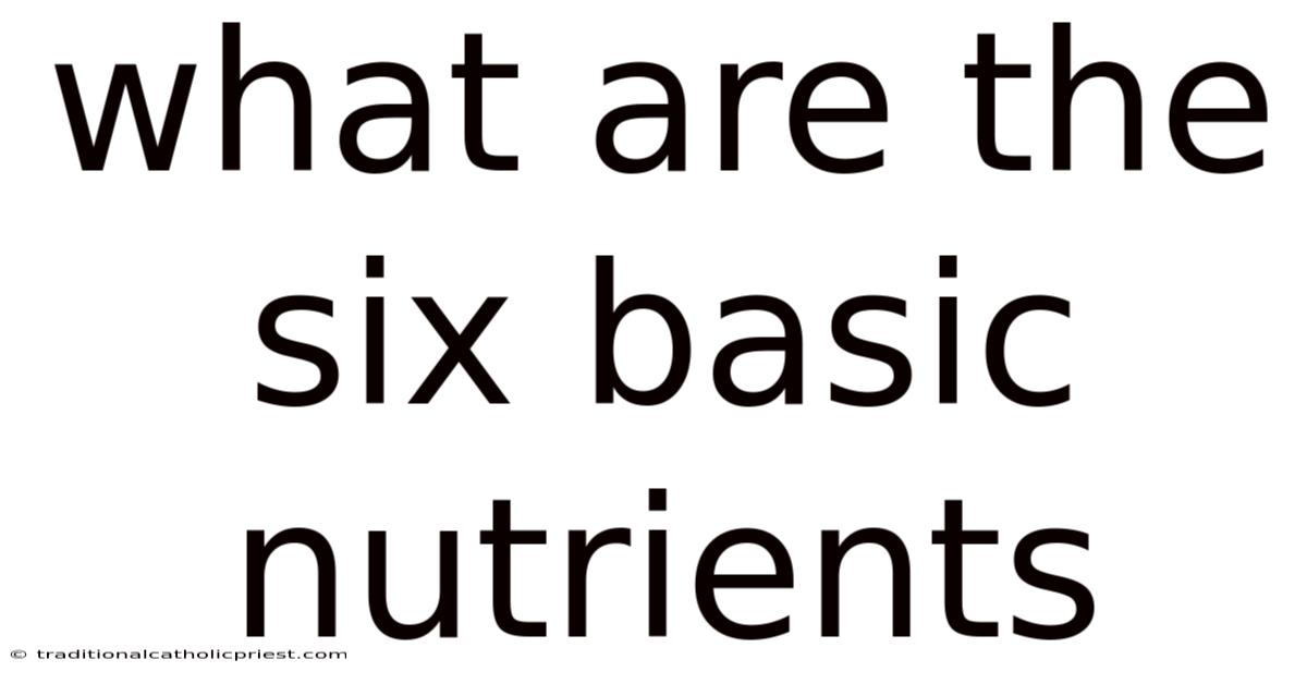 What Are The Six Basic Nutrients