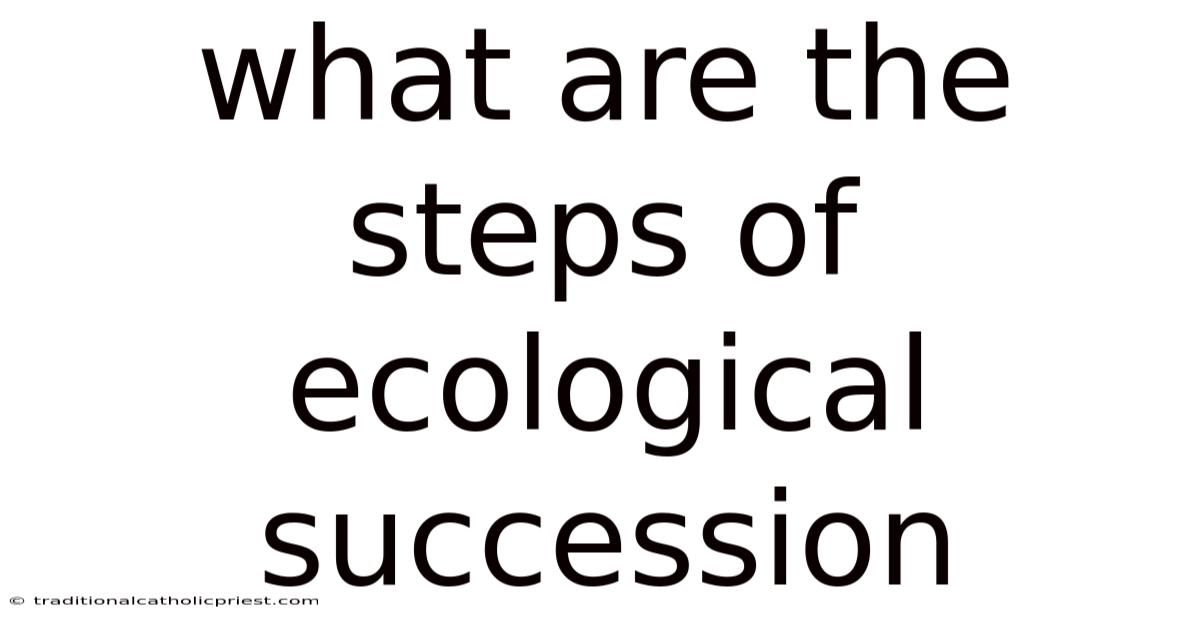 What Are The Steps Of Ecological Succession