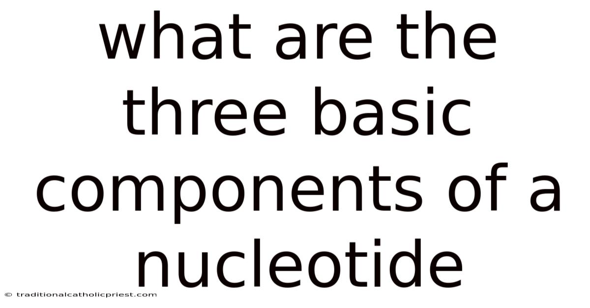What Are The Three Basic Components Of A Nucleotide
