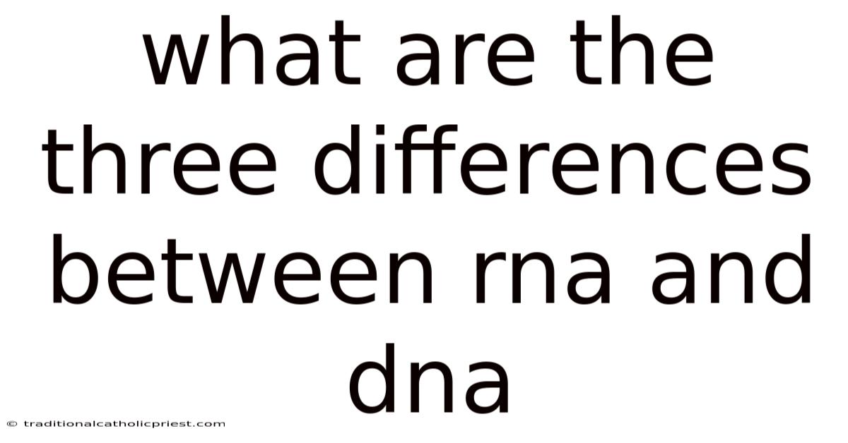 What Are The Three Differences Between Rna And Dna