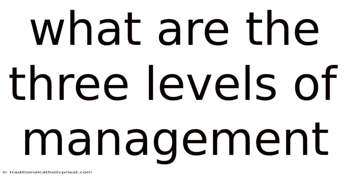 What Are The Three Levels Of Management