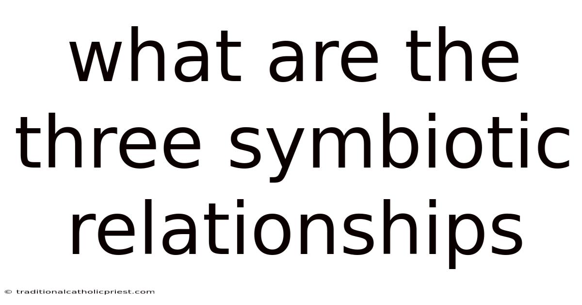 What Are The Three Symbiotic Relationships