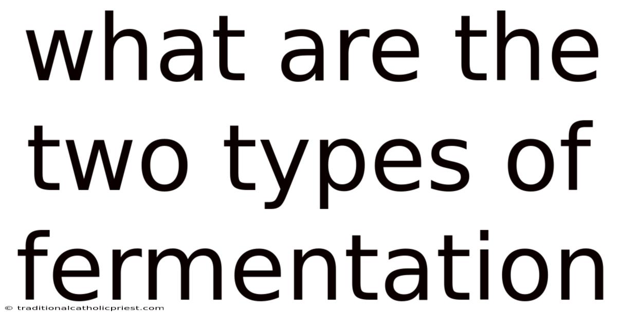 What Are The Two Types Of Fermentation