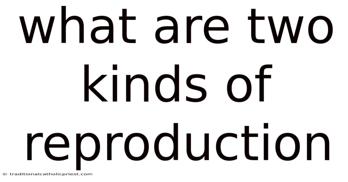 What Are Two Kinds Of Reproduction