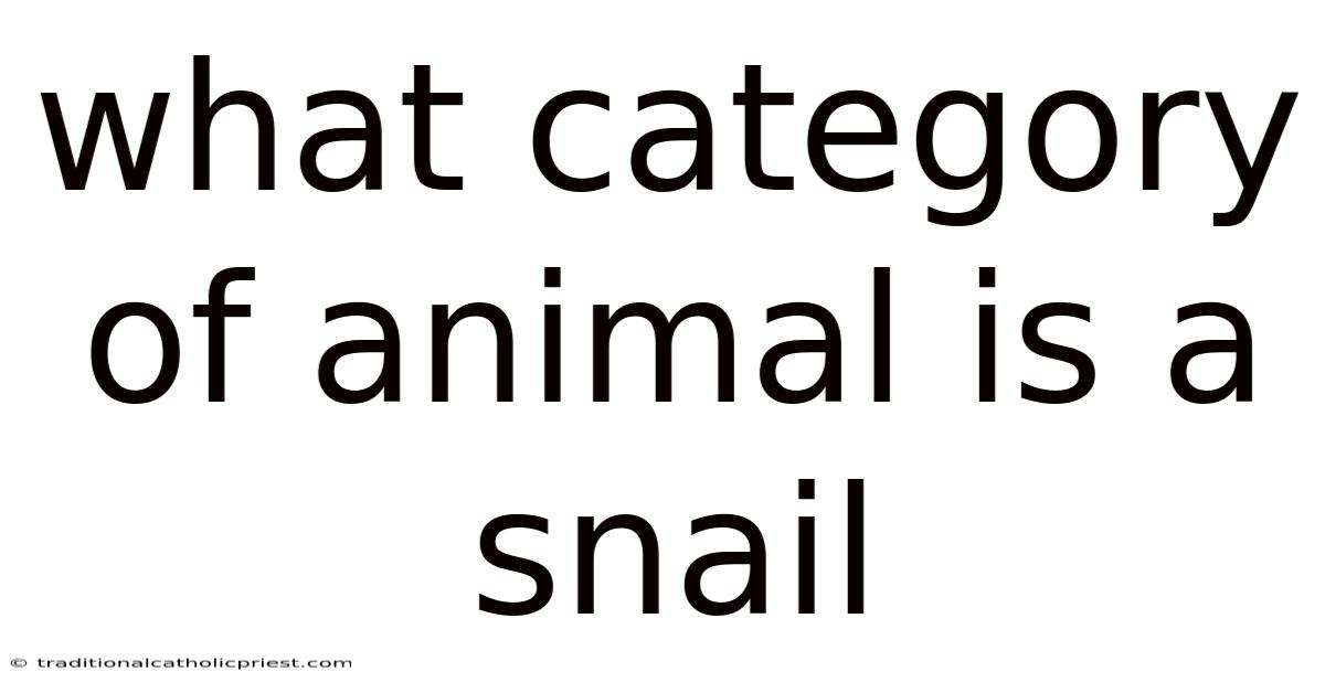 What Category Of Animal Is A Snail