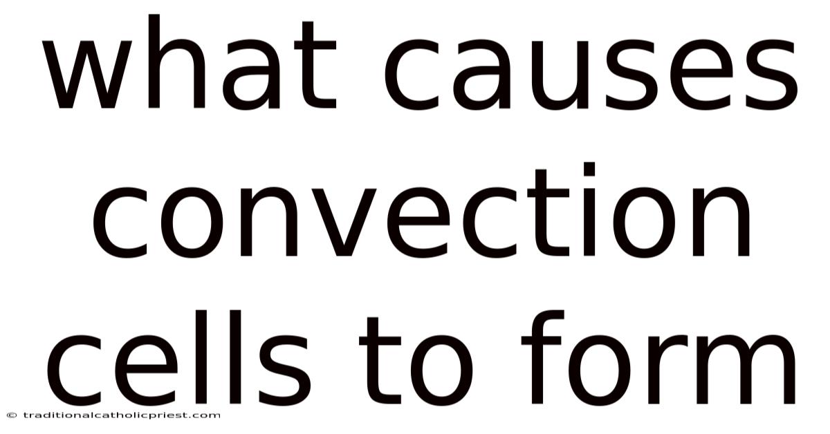 What Causes Convection Cells To Form