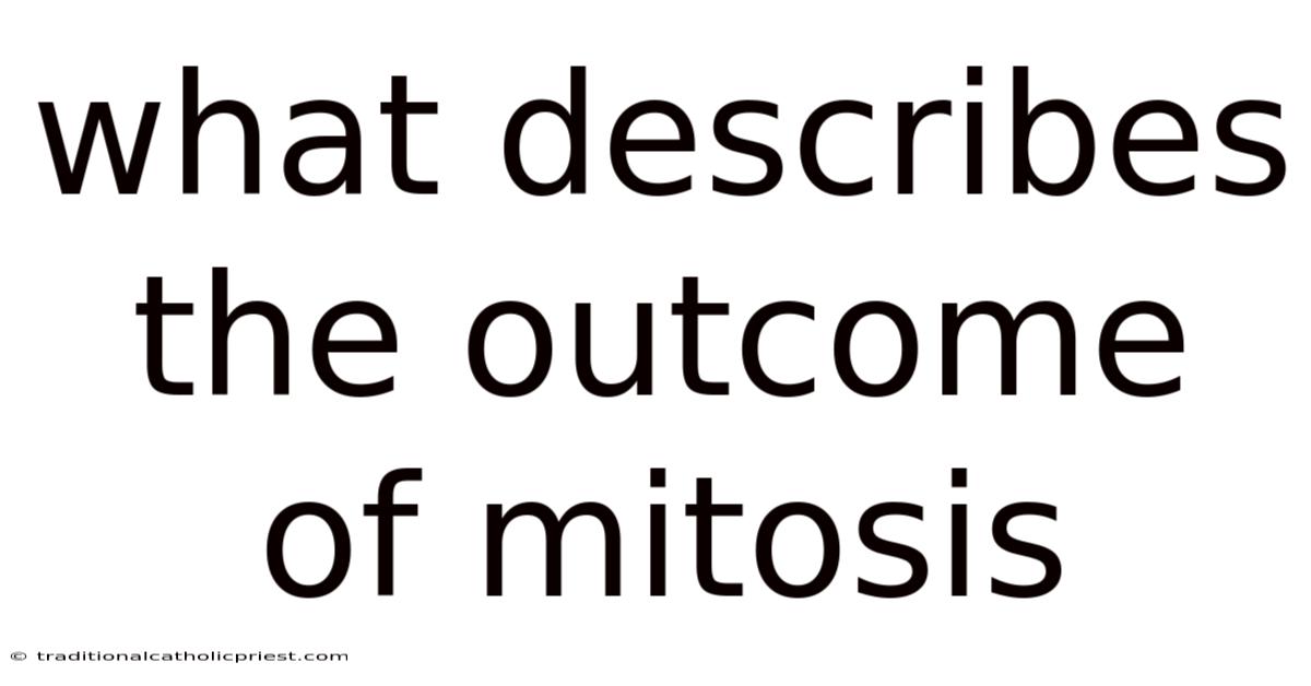 What Describes The Outcome Of Mitosis
