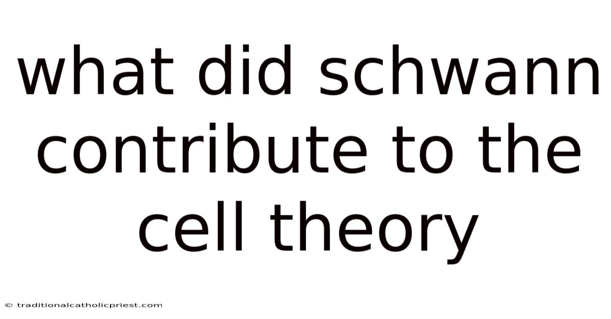 What Did Schwann Contribute To The Cell Theory