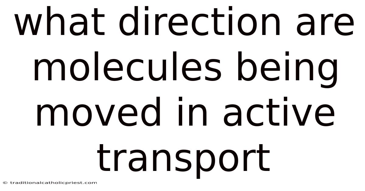 What Direction Are Molecules Being Moved In Active Transport