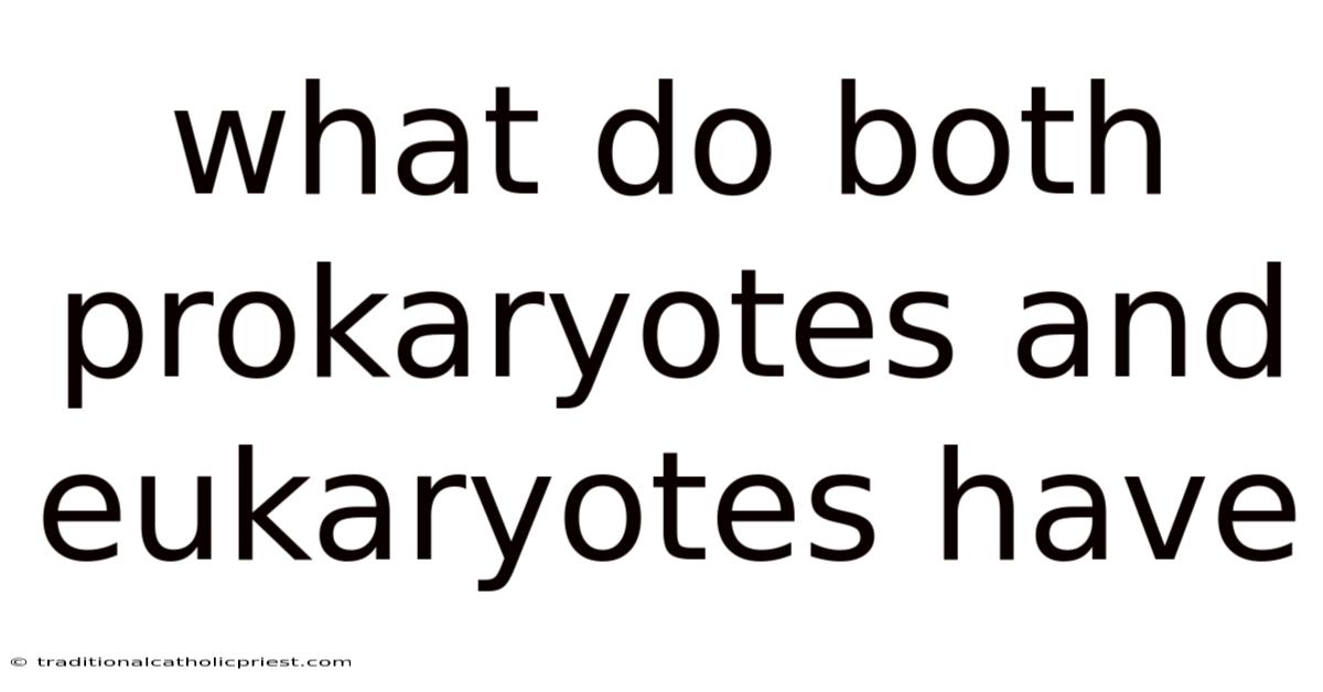 What Do Both Prokaryotes And Eukaryotes Have