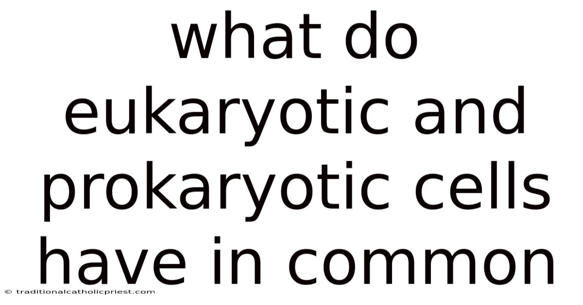 What Do Eukaryotic And Prokaryotic Cells Have In Common