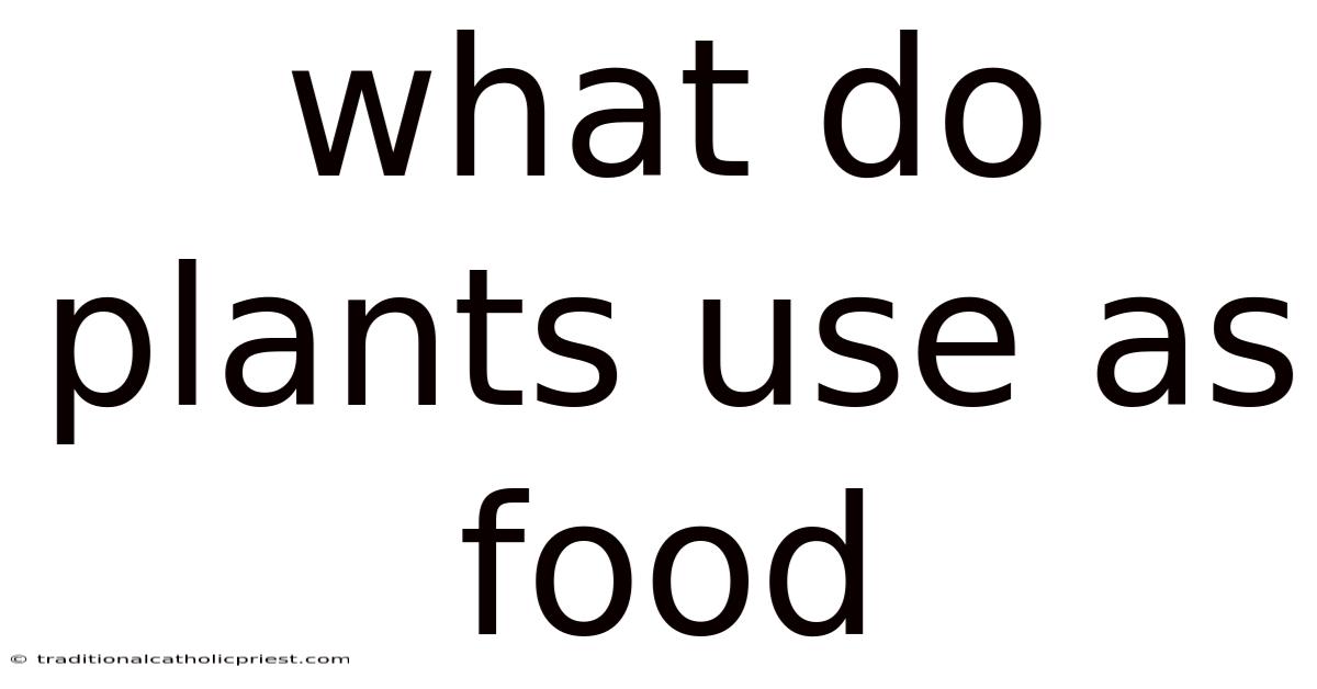 What Do Plants Use As Food